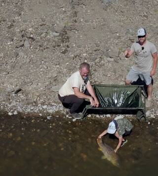 Carpfishing y feeder en Carboneras