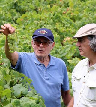 Wineman: Utiel-Requena. En búsqueda del origen del vino español