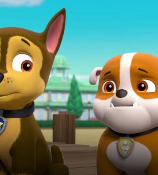 La Patrulla Canina (T4): La patrulla se va de marcha con los murciélagos; La patrulla salva a la sensei Yumi