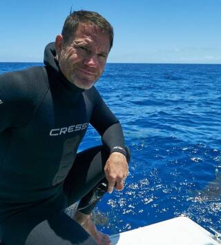 Shark with Steve Backshall