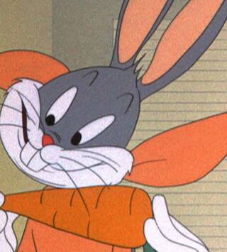 Looney Tunes... (T1): Lastre de atracciones / ¡Rino, tú no!