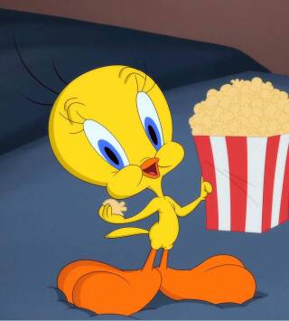 Looney Tunes... (T6): Un gato sin suerte / Un amor espinoso