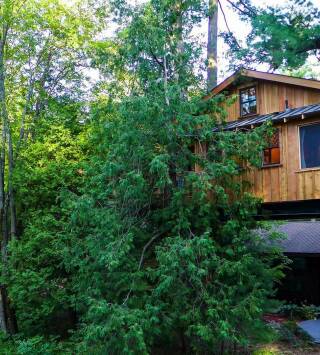 Mi casa en un árbol (T7): Bungalow en las montañas