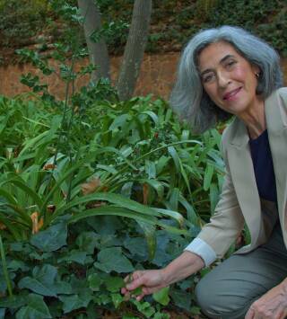 Jardines con historia: Jardín Botánico de Madrid