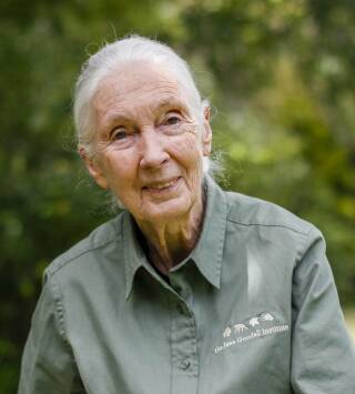 Jane Goodall: la...: Ep.4