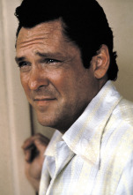 Imagen de Donnie Brasco - 9