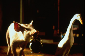 Imagen de Babe, el cerdito valiente - 13