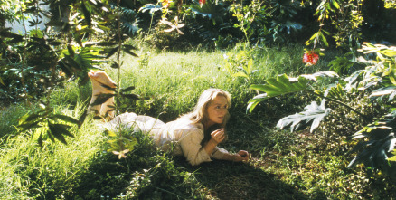 Imagen de El ladrón de orquídeas (Adaptation) - 8