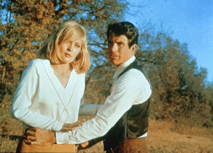 Imagen de Bonnie y Clyde - 4
