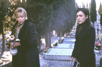 Imagen de Te doy mis ojos - 14