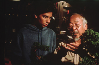 Imagen de Karate Kid, el momento de la verdad - 6
