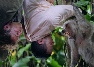 Imagen de Tesoro del Amazonas - 8