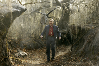Imagen de Big Fish - 4