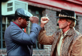 Imagen de Cocodrilo Dundee II - 6