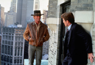 Imagen de Cocodrilo Dundee II - 10