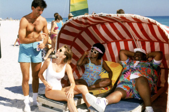 Imagen de Loca academia de policía 5: Operación Miami Beach - 4