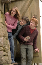 Imagen de Harry Potter y el prisionero de Azkaban - 15