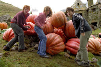 Imagen de Harry Potter y el prisionero de Azkaban - 16