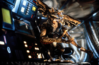 Imagen de Gremlins 2, la nueva generación - 5