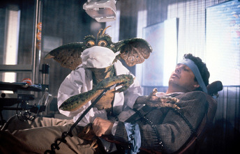 Imagen de Gremlins 2, la nueva generación - 6