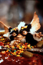 Imagen de Gremlins 2, la nueva generación - 7