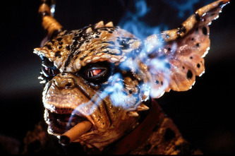 Imagen de Gremlins 2, la nueva generación - 8