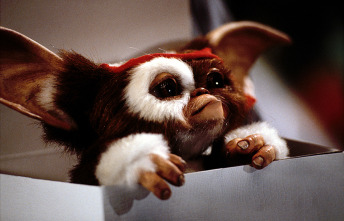 Imagen de Gremlins 2, la nueva generación - 3
