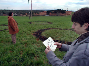 Imagen de Platillos volantes - 15