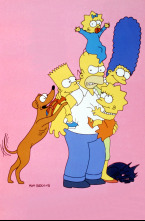 Imagen de Los Simpson (T8) - 15