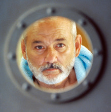 Imagen de Life Aquatic - 5