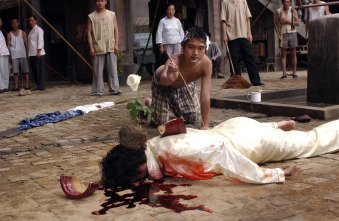 Imagen de Kung Fu sion - 9