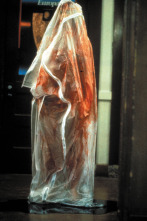 Imagen de Pesadilla en Elm Street - 11