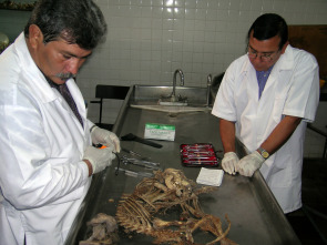 Imagen de Revelaciones  - 8