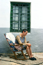Imagen de Volver - 6