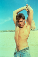 Imagen de Jamón, jamón - 4