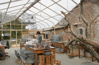 Imagen de La educación de las hadas - 11