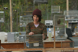 Imagen de La educación de las hadas - 12