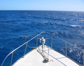 Imagen de Revelaciones  - 4