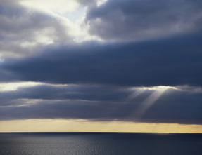 Imagen de Revelaciones  - 14