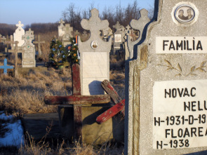 Imagen de Revelaciones  - 3