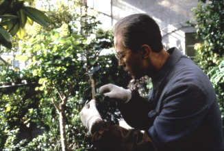 Imagen de El último emperador - 6