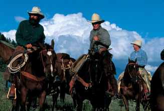 El hombre que susurraba a los caballos