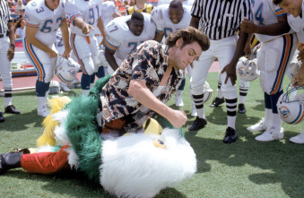Imagen de Ace Ventura, un detective diferente - 15
