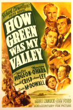 Imagen de ¡Qué verde era mi valle! - 4