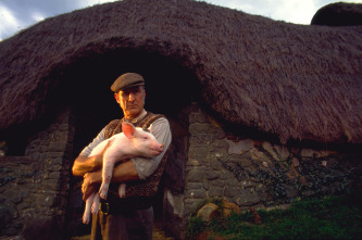 Imagen de Babe, el cerdito valiente - 5