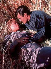 Imagen de Doctor Zhivago - 4