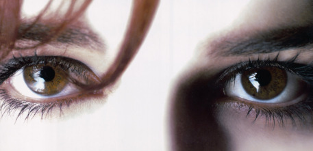 Imagen de Juegos salvajes - Wild Things - 5