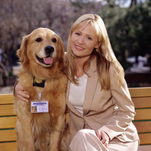 Imagen de Sue Thomas: el ojo del FBI (T3) - 1