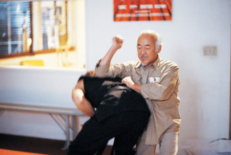 Imagen de Karate Kid III: el desafío final - 12
