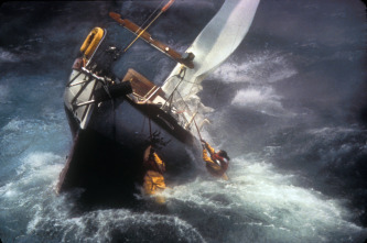 Imagen de La tormenta perfecta - 14